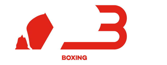 Premier Boxing Championship Logo White